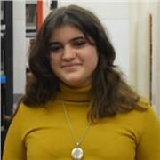 Profesora con máster de enseñanza de inglés con 3 meses de experiencia, imparto clases tanto online como presencial.